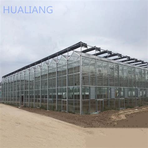 Custom Size Venlo Type Tip Roof Planting Glass Multi Span Greenhouse