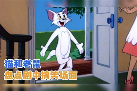 猫和老鼠：盘点剧中搞笑场面，汤姆为了接近杰瑞竟把自己刷成白色 杰瑞 汤姆 场面