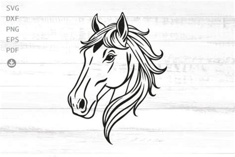 Horse Head Svg Design Horse Svg Horse Graphic By Easyconceptsvg