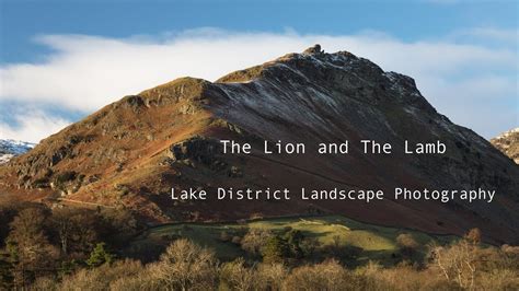 The Lion And The Lamb Helm Crag Lake District Landscape Photography