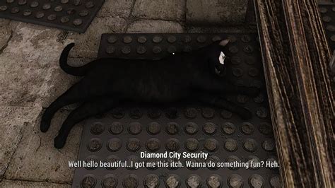 Cat Variants - SPID at Fallout 4 Nexus - Mods and community