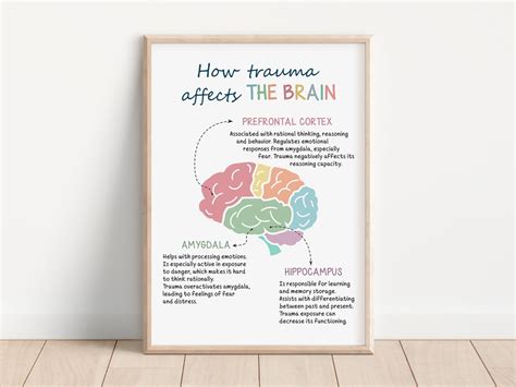 How Trauma Affects the Brain, Trauma and the Brain, Brain Anatomy ...