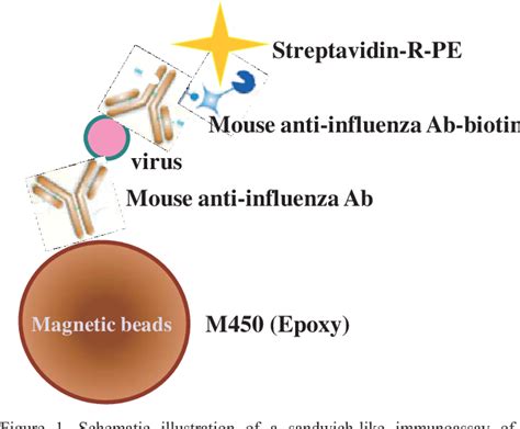 Figure 1 From An Immunomagnetic Bead Based Microfluidic System For