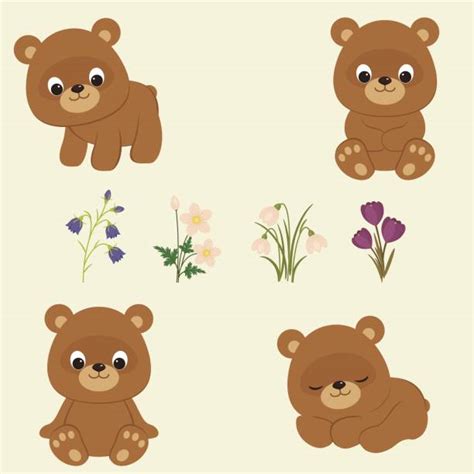 clip art bear cub 20 free Cliparts | Download images on Clipground 2024