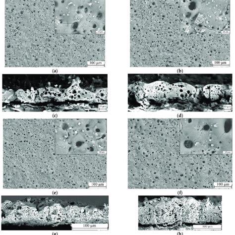 SEM Micrographs Of The Surfaces And Cross Sections Of TiO 2 Doped