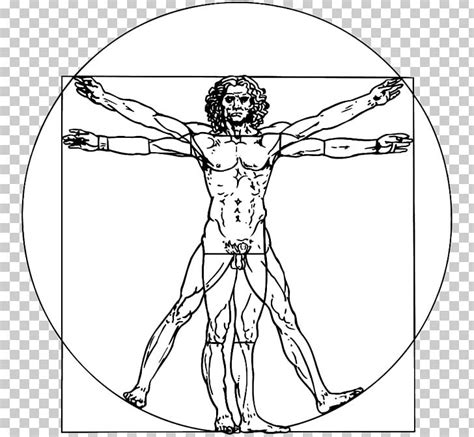 Vitruvian Man Drawing PNG, Clipart, Architect, Area, Arm, Art, Artist ...