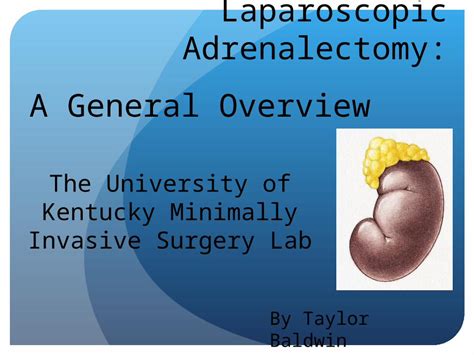 Ppt Laparoscopic Adrenalectomy A General Overview By Taylor Baldwin