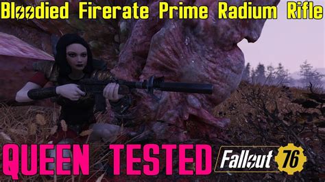 Fallout 76 Queen Tested Bloodied Firerate Prime Radium Rifle Youtube