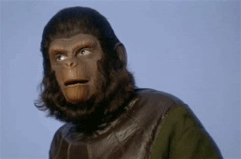 Battle For The Planet Of The Apes GIFs - Find & Share on GIPHY