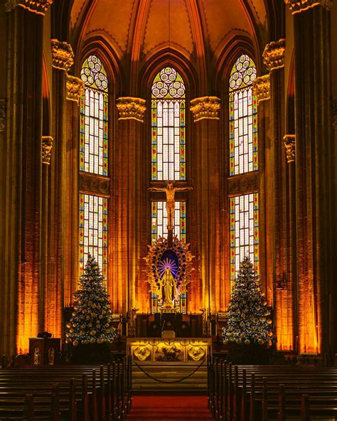 Christmas Trees near Altar in Church · Free Stock Photo