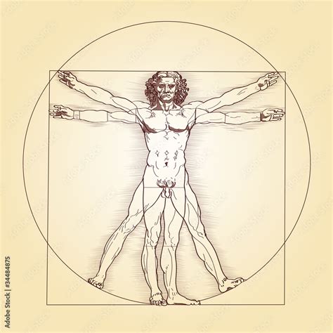 Vitruvian Man Leonardo Da Vinci The Vitruvian Man Based On The