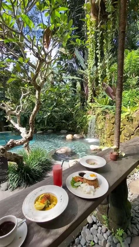 Tree House With The Best View In Bali At The Rumah Pohon Tree House