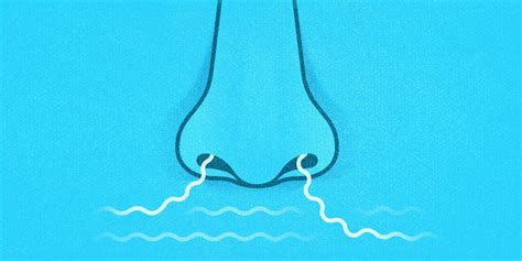 Why Can't I Smell Myself? Understanding Body Odor Blindness - Hunter Games Magazine