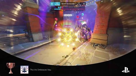 Zenyatta The Iris Embraces You Cute Spray Trophy Youtube