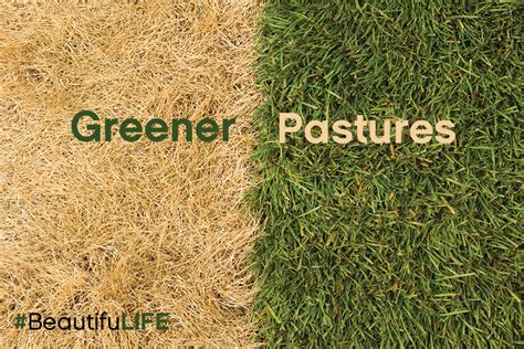 Greener Pastures – KayCasperson.com