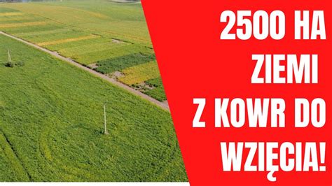 Top Farms G Ubczyce Oddaje Grunty Rolne Do Wzi Cia Z Zasob W Kowr