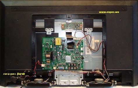 DNS K32D619