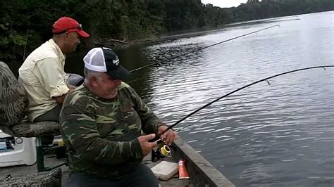 Fishing For Koebie Silver Croaker In Surinam YouTube