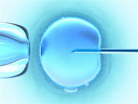 Busted 10 Common Myths About In Vitro Fertilisation