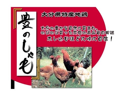 豊のしゃも｜公益社団法人大分県畜産協会（公式ホームページ）