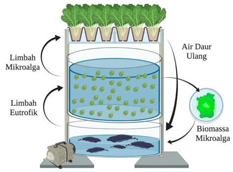Model Akuaponik Sistem Raft Comdev Undip Duta Pln Rojin Lindgren