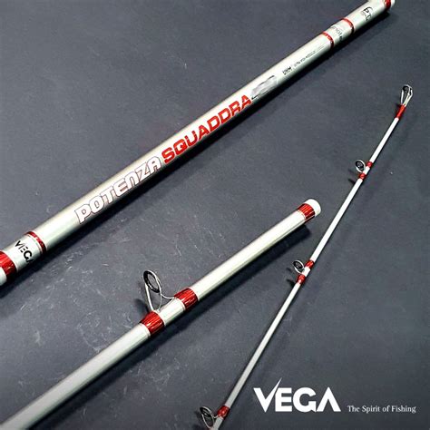 Vega 4 50mt TB Potenza Squaddra Pesca Barrento