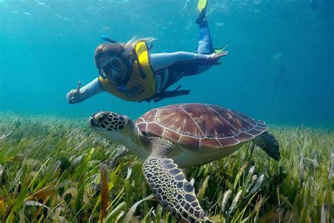 Cancun: Snorkeling Boat Trip in Mexico