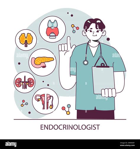 Endocrinology Endocrine System Organs Pancreas Thyroid Gland Pituitary Adrenal Gland And