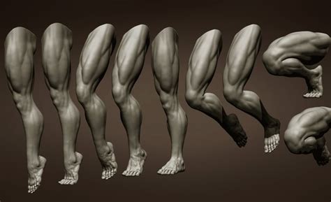 Legs 3d Models For Download Turbosquid