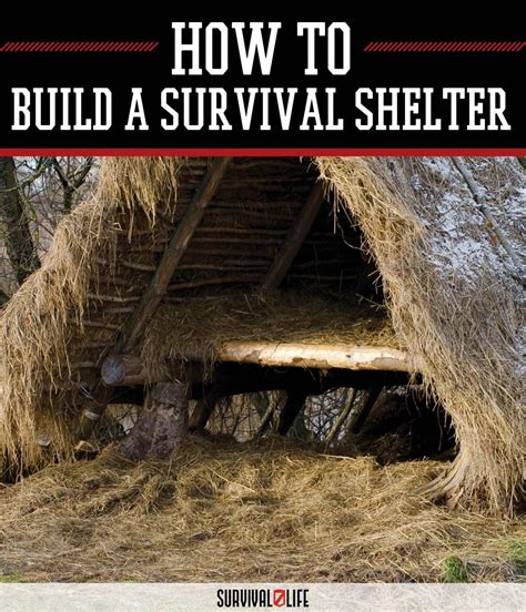 The California Survival School: Survival Shelter Tutorial| Survival Life