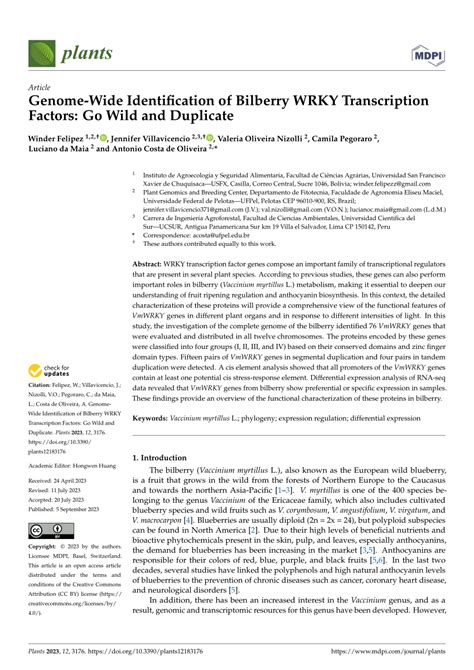 Pdf Genome Wide Identification Of Bilberry Wrky Transcription Factors