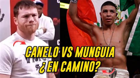 Canelo Vs Munguia La Omb Sube A Munguia Al Adios A Showtime