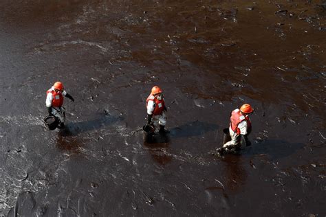 Repsol Declara Limpias Playas Afectadas Por El Derrame De Petr Leo