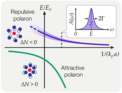 Atoms Free Full Text Repulsive Fermi And Bose Polarons In Quantum Gases