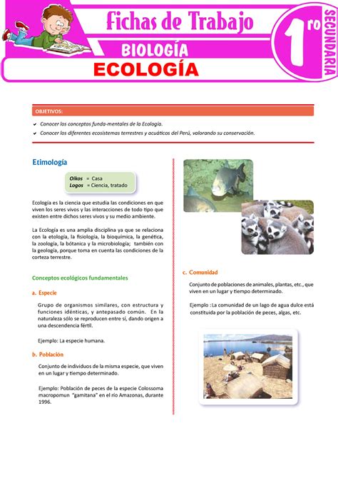 Ecologia Para Primer Grado De Secundaria Conocer Los Conceptos Funda Mentales De La Ecología