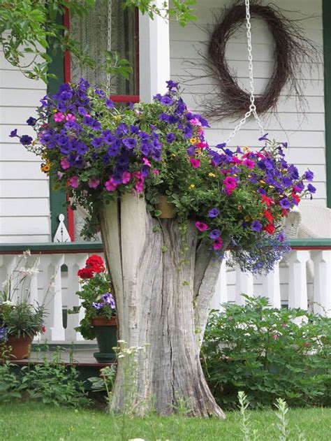 Amazing Tree Stump Ideas For The Garden