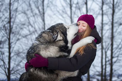 Companion Animal Psychology: Shelter Dogs Live Up To Expectations (Mostly)