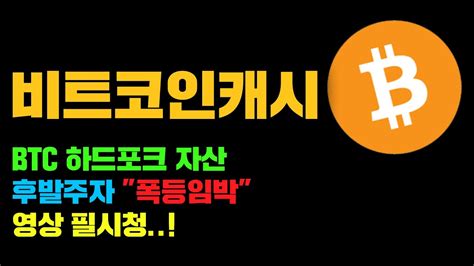 비트코인캐시 긴급 주말 Btc 하드포크 자산 2등3등 폭등임박 코인시황 Youtube