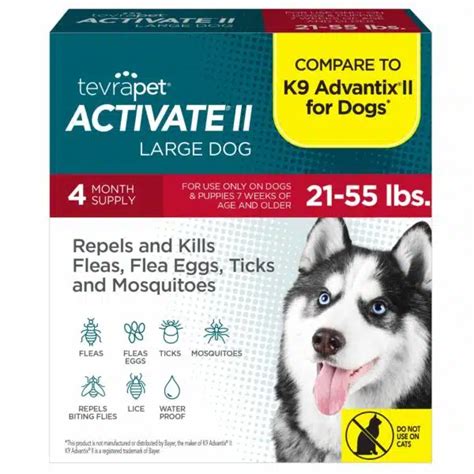 Best Flea, Tick, And Heartworm Prevention For Dogs In 2023 | Alpha Paw