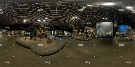 360° View Of Dinosaurs In The Natural History Museum Münster Lwl Alamy