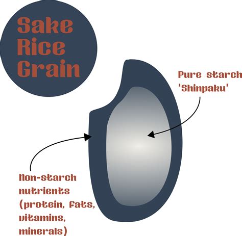 Rice, the Kernel of What Makes Sake, Sake — MELBOURNE SAKE