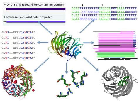 IJMS | Special Issue : Protein Crystallography in Molecular Biology