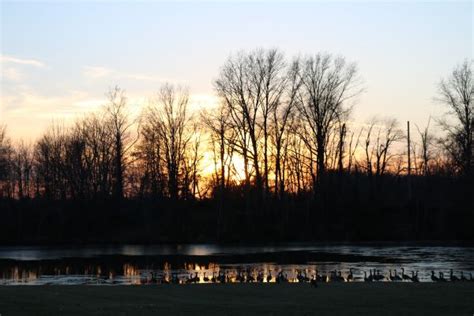 Free Images Natural Landscape Sky Nature Tree Water Reflection