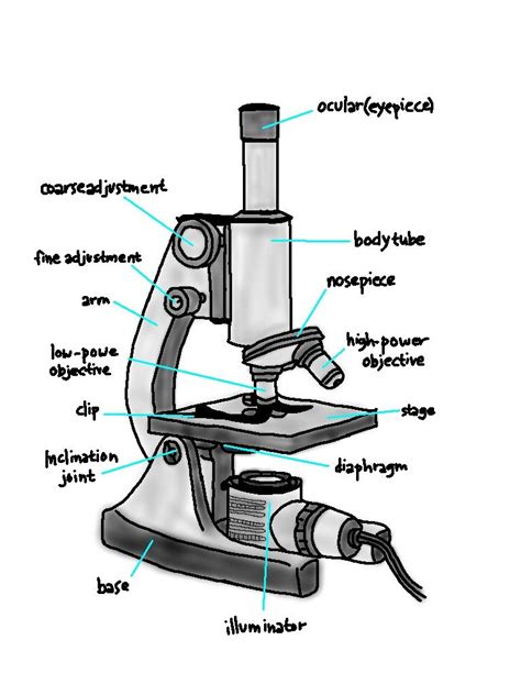 Microscope Drawing with Labeled Parts