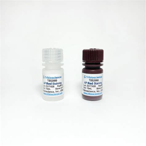 Alkaline Phosphatase Red Staining Kit Tbs2080 Tribioscience