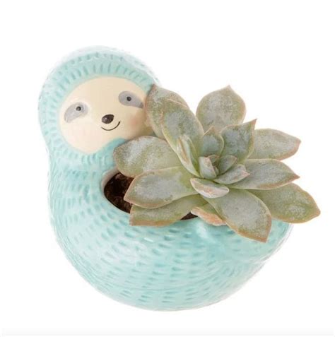 Blue Hugging Sloth Planter Pot For Succulents Plants Etsy Planter