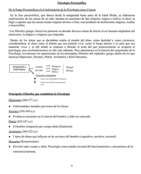 Apoyado En La Lectura E Investigando En Diversos Medios Elabora Una