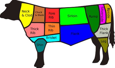 Cuts Of Beef Cooking Wiki