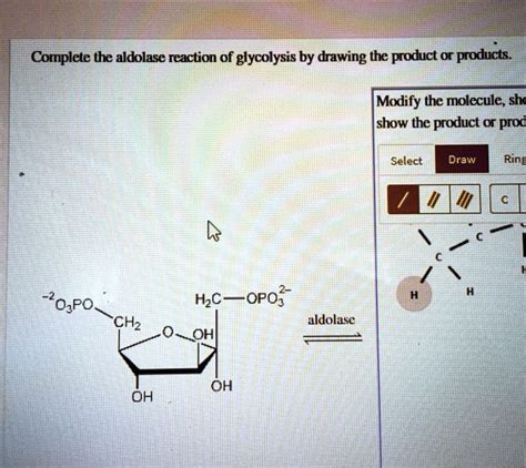 Solved Complete The Aldolase Reaction Of Glycolysis By Drawing The