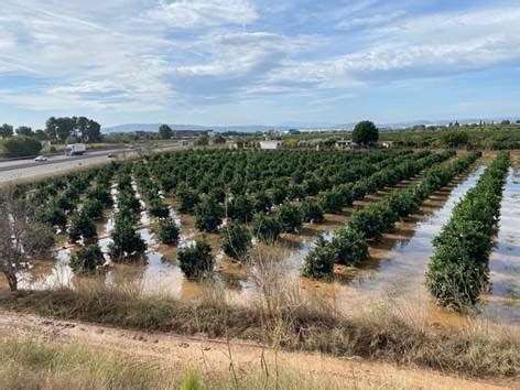 Agroseguro estima en 8 millones de euros los daños provocados por la